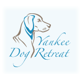 Yankee Dog Retreat